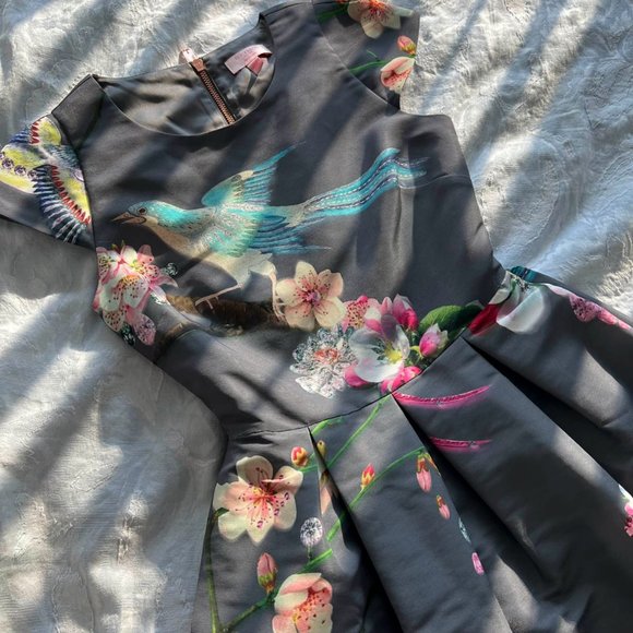 Stunning Ted Baker Flight of the Orient Dress - Picture 2 of 9